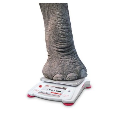 Ohaus Scout STX Portable Balance - Image 5